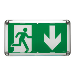 BAES D'EVACUATION SAILLIE A LEDS 45LM 1H PLASTIQUE IP66 IK10 SATI CONNECTE