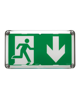 BAES D'EVACUATION SAILLIE A LEDS 45LM 1H PLASTIQUE IP66 IK10 SATI CONNECTE