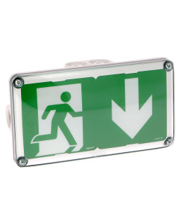 BAES D'EVACUATION SAILLIE A LEDS 45LM 1H PLASTIQUE IP66 IK10 SATI CONNECTE