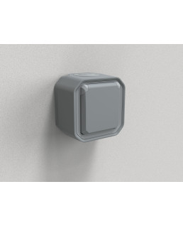 PRISE DE COURANT 2P+T PLEXO COMPLET SAILLIE GRIS