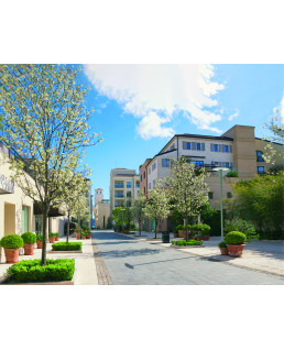 ISCHIA ROTO 3590 LED 48W GRAPHITE IP66 IK10 5580LM 3000K