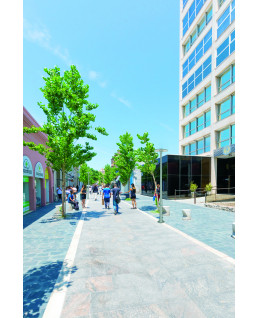 ISCHIA ROTO 3590 LED 48W GRAPHITE IP66 IK10 5580LM 3000K